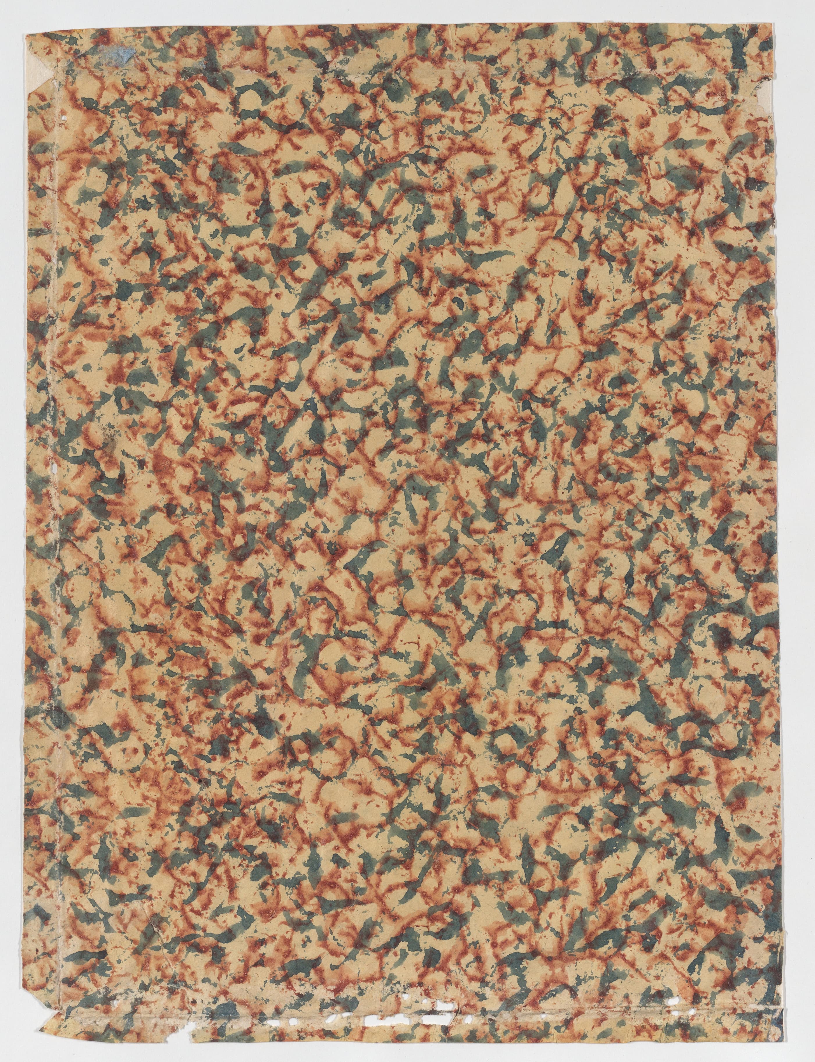 Field 05