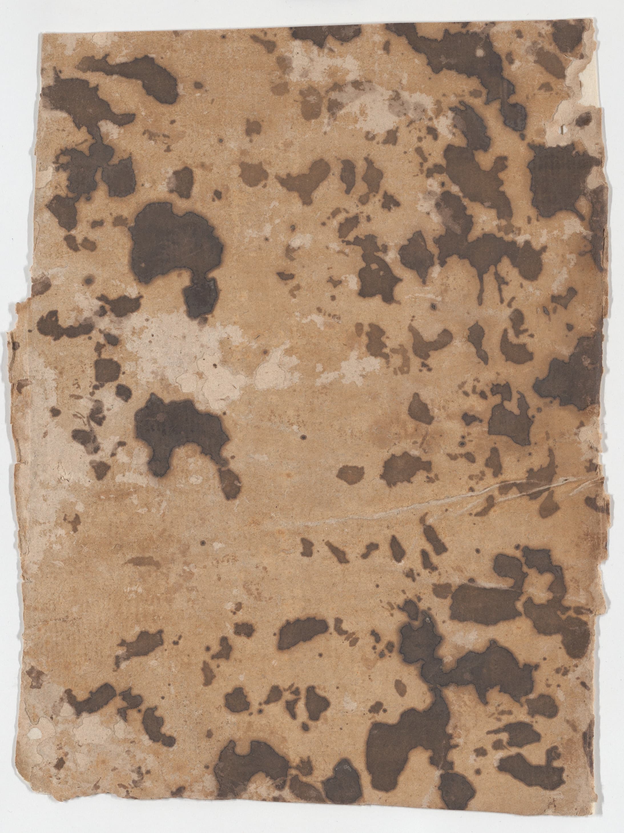 Field 01
