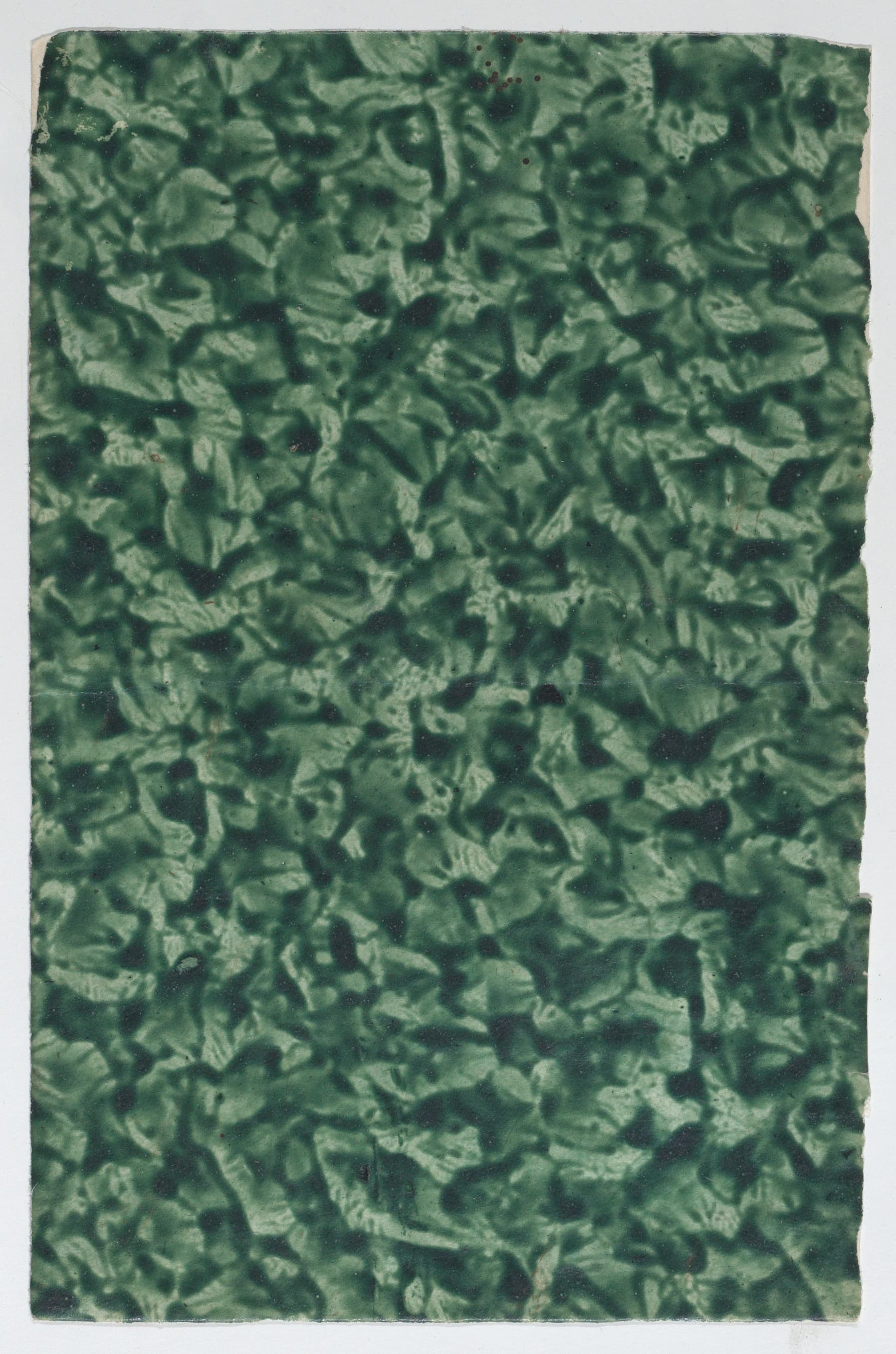 Ground V (Moss)
