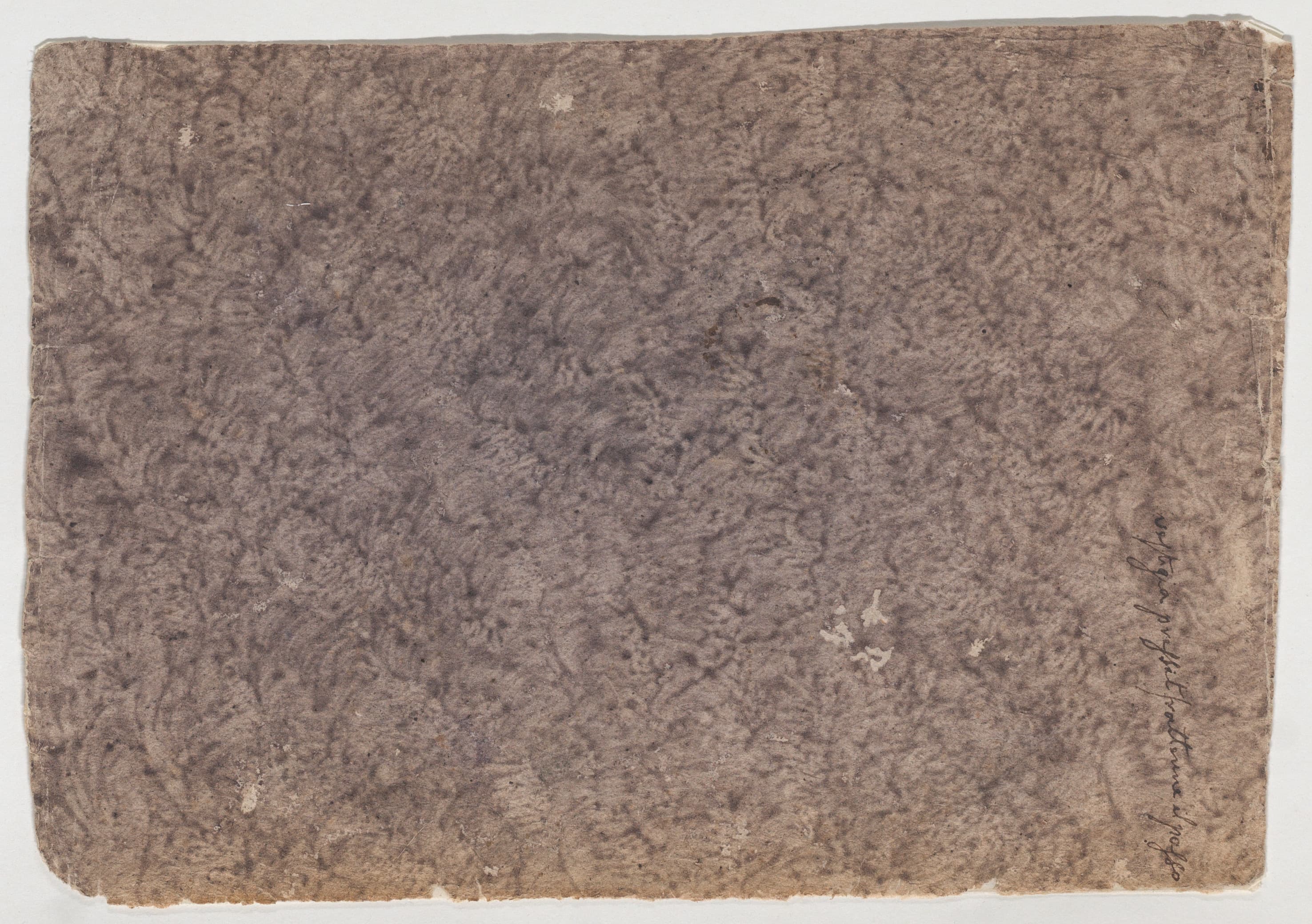 Ground IV (Ash)